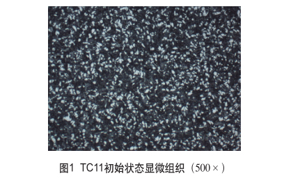 TC11初始狀態顯微組織(500×) TC11初始狀態顯微組織(500×)