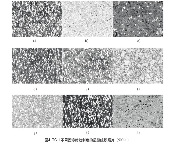 TC11不同固溶時效制度的顯微組織照片(500×) TC11不同固溶時效制度的顯微組織照片(500×)